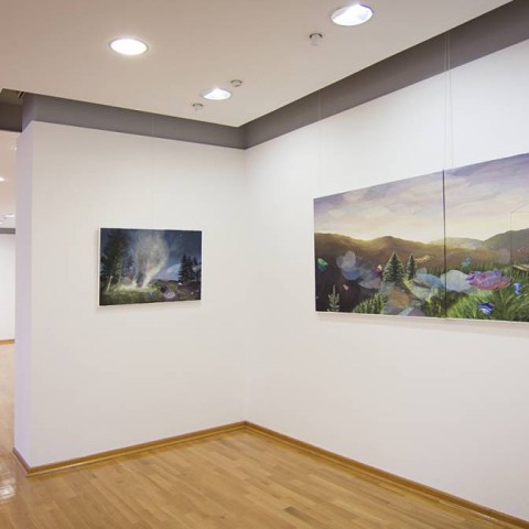 Installation view