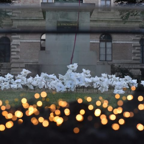 Slušaj šume!, Festival Ganz nove Perforacije,Strossmayerov Trg Zagreb 2019