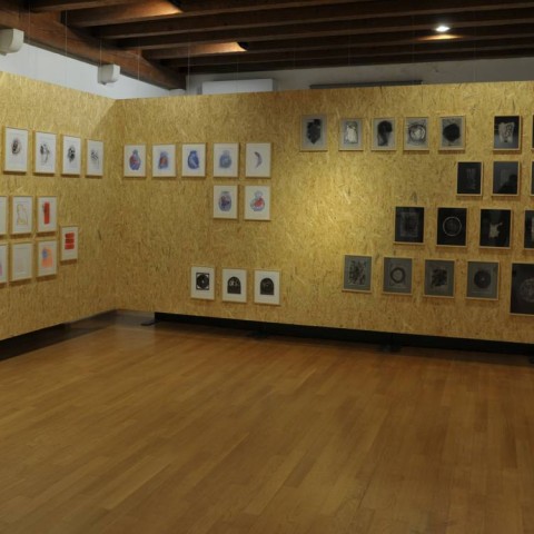 PRIVATNA EKOLOGIJA, 2023.–2024., crteži, detalj postava PRIVATE ECOLOGY, 2023–2024, drawings, exhibition detail