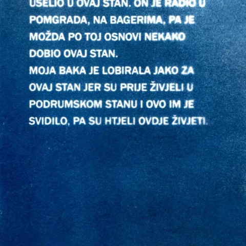 GLORIJA LIZDE I DARIO DUNATOV Bez naziva, 2022.-2024. Cijanotipija, različite dimenzije