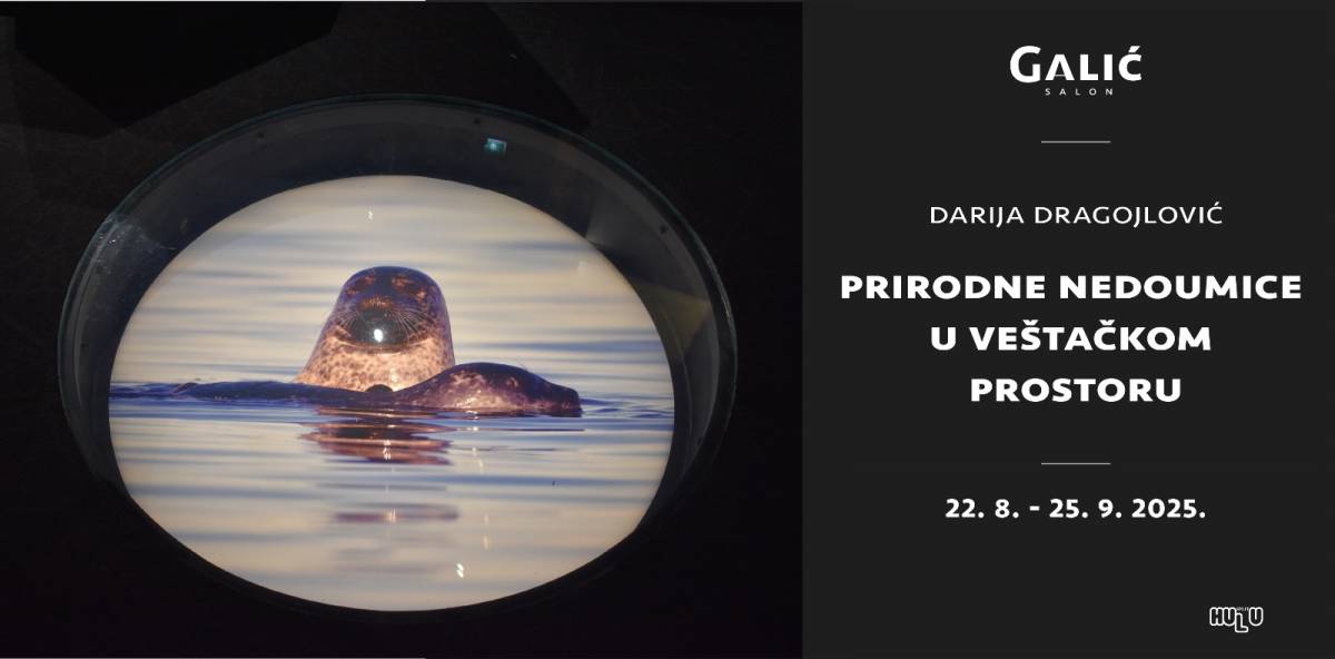 Darija Dragojlović banner