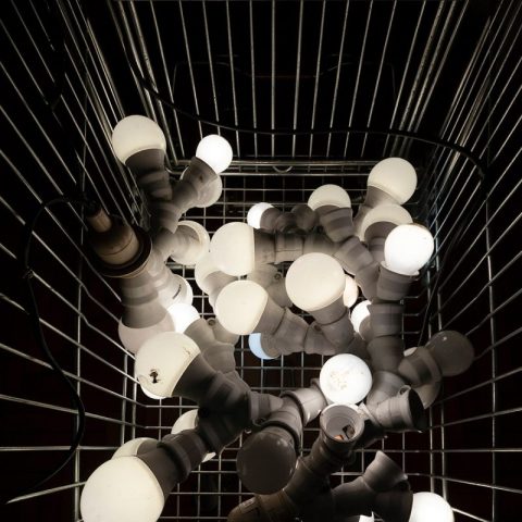 Momčilo Golub ”… i proljeće jednog astronoma”