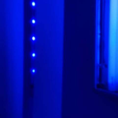 IMG_1341.mp4_snapshot_00.04.720