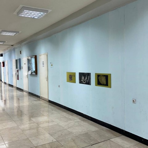 Nina Bačun – Arhitektura iscjeljenja: sumporni krajolici (43° 30.547′ N, 16° 26.22′ E)