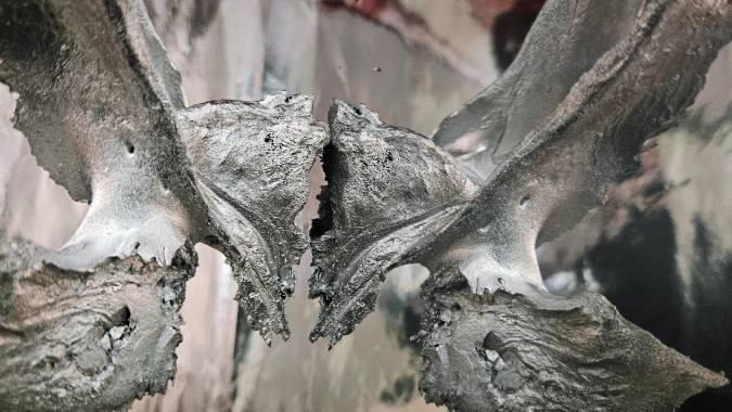 IMG_20241112_220206_511