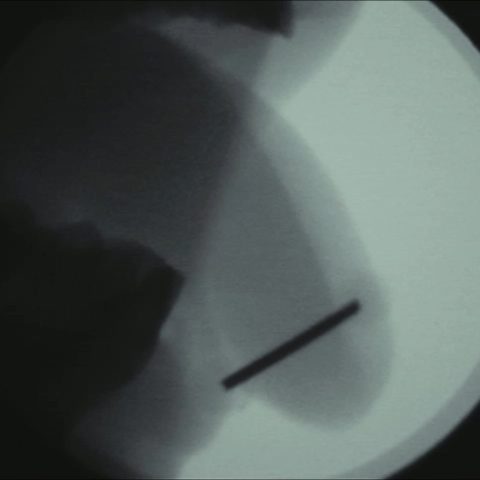 Huang Jianming, Proizvodna traka, 2026. videoinstalacija